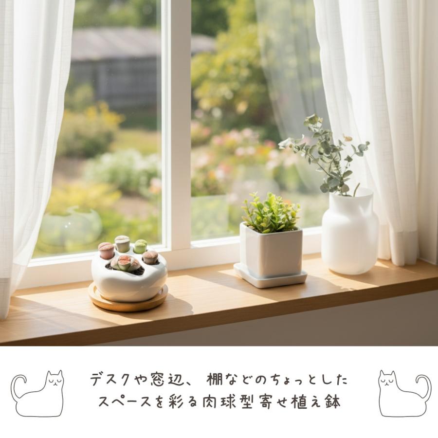 多肉植物 猫草 サボテン 鉢 プランター 寄せ植え鉢 肉球 苔玉 ミニ