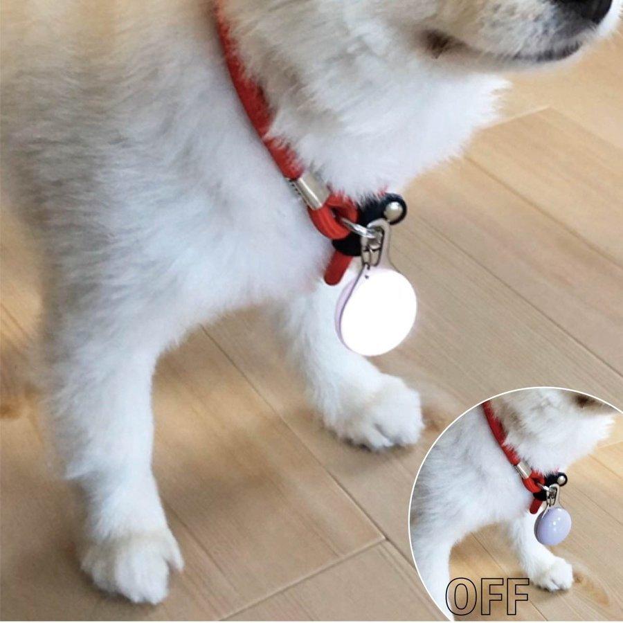 LED お散歩ライト ペット 首輪 ペンダント 光る 犬 猫 夜間 散歩 LED お散歩ライト ペット 首輪 ペンダント 光る 犬 猫 夜間 散歩