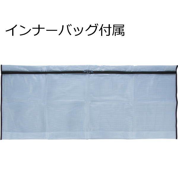 ビッグフィッシュバッグII 160 (N) バレーヒル Valleyhill : エナ