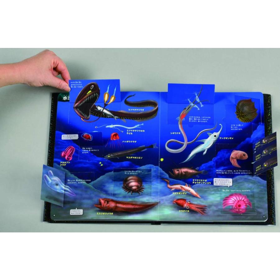 深海の生き物 はっけんずかんプラス Mami リボン 通販 Yahoo ショッピング