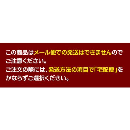 メール便不可 ファーバーカステル アート&グラフィックペンシルロールシリーズ 180010 ロールペンケース | ファーバーカステル | 02