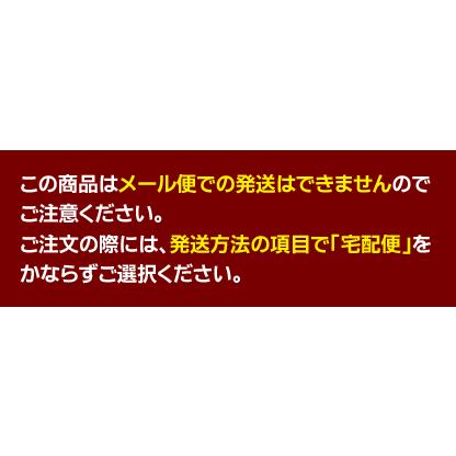 メール便不可 ミューズ 犬棒かるた 読み上げアプリ対応かるた ことわざかるた｜enauc｜05