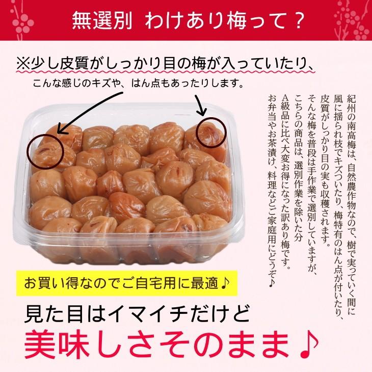 梅干し 訳あり（350g）紀州南高梅 無選別B級【猿梅の訳あり