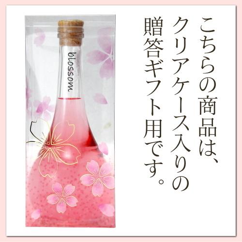 さくら梅酒 blossom（ブロッサム）10度 500ml《和歌山大学の女子大生と