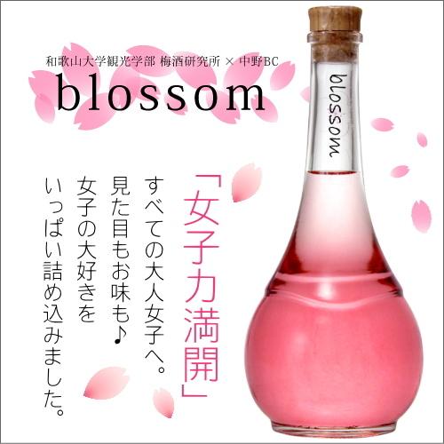 さくら梅酒 blossom（ブロッサム）10度 500ml《和歌山大学の女子大生と