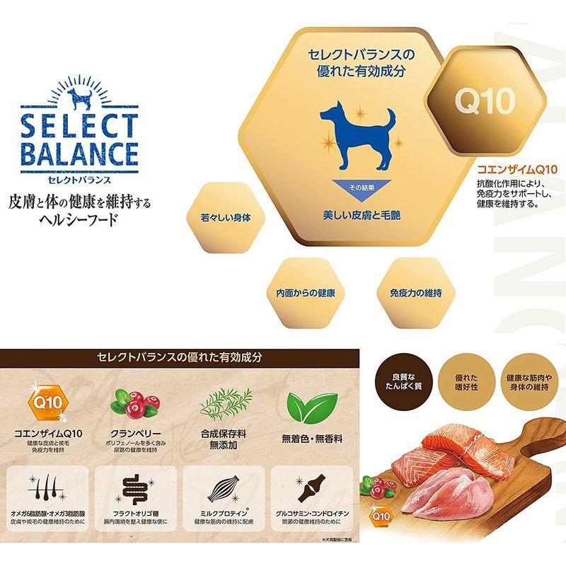 セレクトバランス スリム チキン 小粒 7kg 犬想いオリジナル 今治ハンドタオルセットタオルカラー ネイビー正規品 Zkgmu Kz