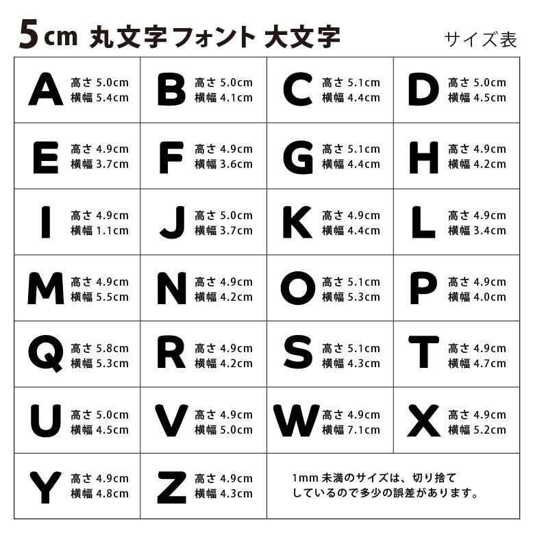 アルバム飾り アルファベット オーダー受付中（＾◇＾） アクリル製