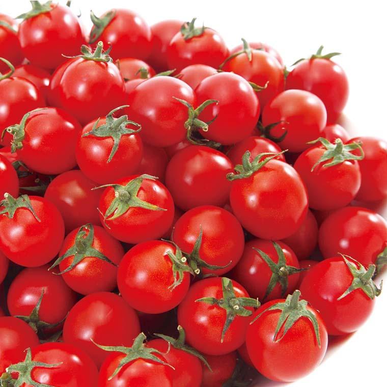 Mini farm ミニファーム おうちで育てるミニトマト 1セット入 【宅配便】 AT102939名入れ記念品の店アンシャンテラボ