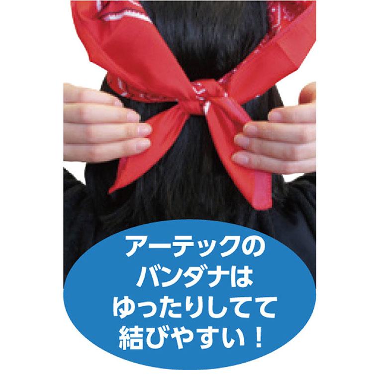 バンダナ 全10色 10枚組 1セット 【ゆうパケット対応】 : 名入れ記念品