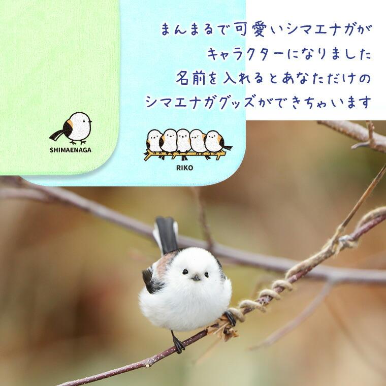 シマエナガ ミニハンカチタオル 全4色 アンシャンテラボ【無料