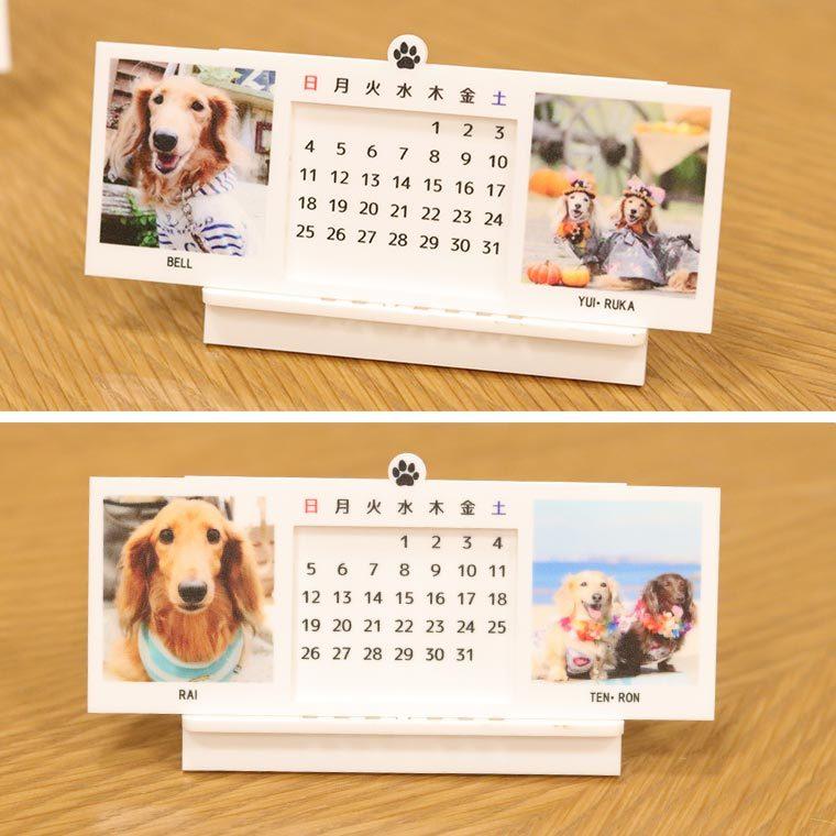 写真入り 万年カレンダー アクリル製 ホワイト アンシャンテラボ【無料