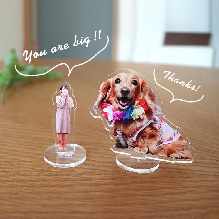 ペット 私のアクスタ 5cm〜9cm アンシャンテラボ【ゆうパケット対応