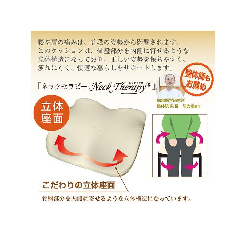 整体ボディクッション 楽天市場】国産ボディクッションECO-C60 高田ベッド 胸当て