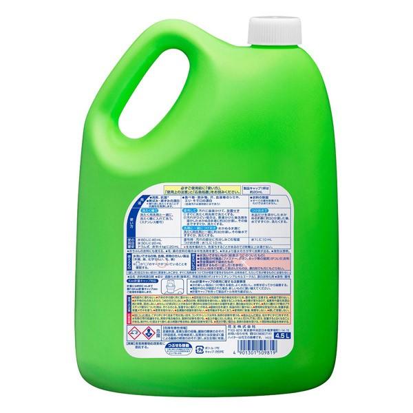 Kao 【業務用 衣料用酸素系漂白剤】ワイドハイターEXパワー 4.5L