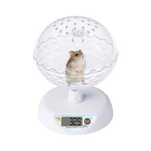 ハム様　専用 マルカン ハムちゃんの体重計 ML-465 計量ボール ハムスター