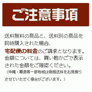 【メーカー直送】萩原 突っ張りウォールラック ＫＴＲ−３１４６ＷＨ｜encho｜11