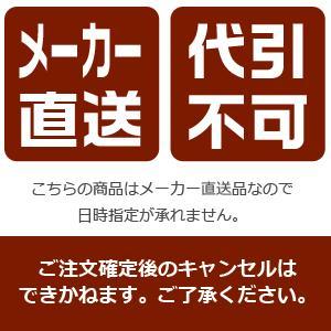 県内公立高校入試 【メーカー直送】萩原　ボンネルコイルマットレス付シングルベッドＭＢ−５４０６Ｓ−ＬＢＲ＋ＫＭ−３１０１