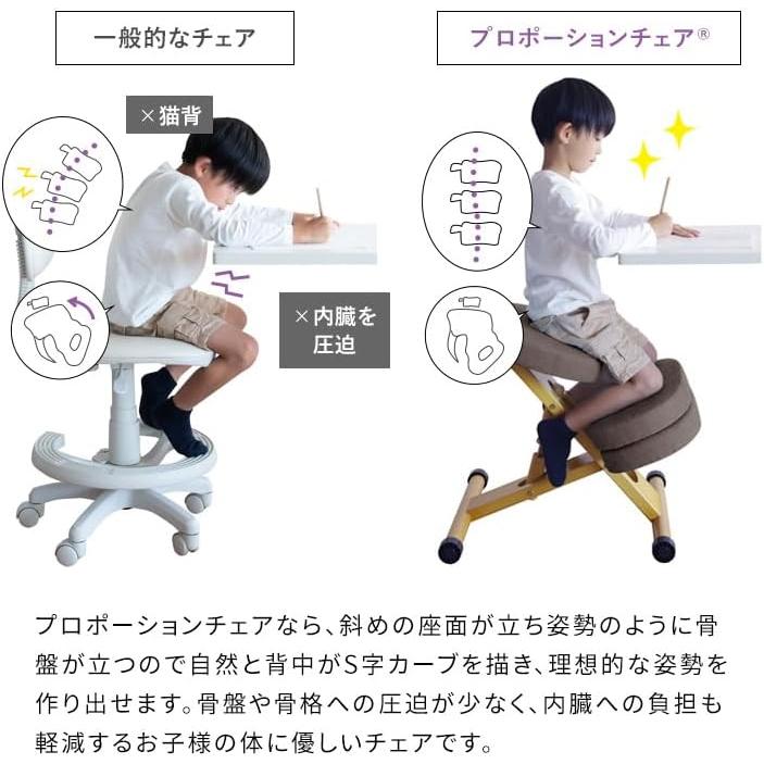 宮武製作所 【メーカー直送】宮武製作所 クッション付きプロポーション