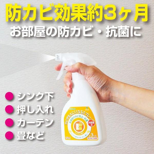 カビが生えにくくなるスプレ-室内用 250ml｜encho｜02