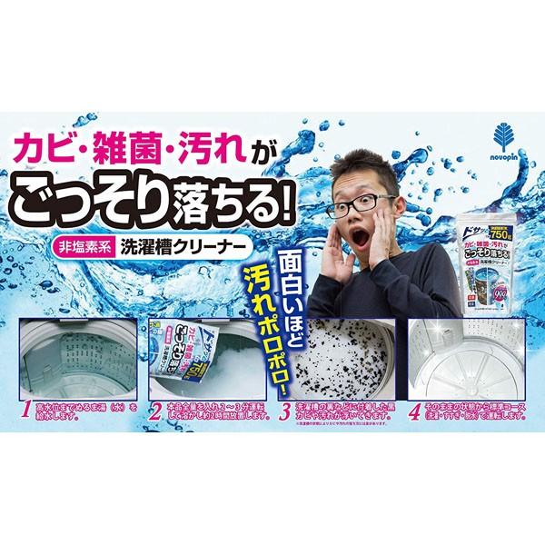 紀陽除虫菊 洗濯機 掃除 非塩素系 洗濯槽クリーナー 750g : エンチョー