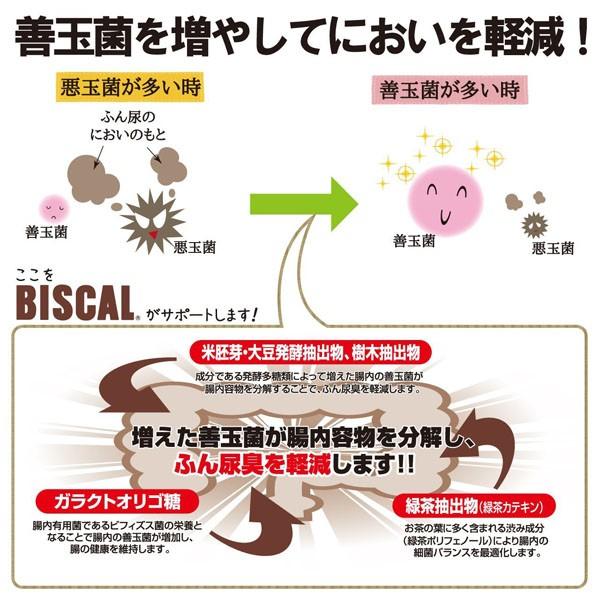 現代製薬 ゲンダイ (GENDAI) ビスカル 2.5kg 気になるふん尿を