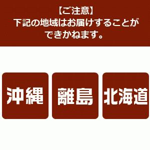 東谷 ラルド ダストボックス ゴミ箱 グリーン TPN-36GR｜encho｜09