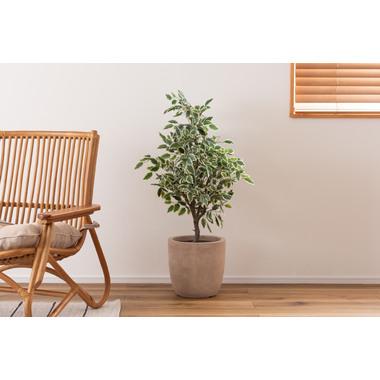 【メーカー直送】東谷 グリーンベース プランター ベージュ GRNB-210BE