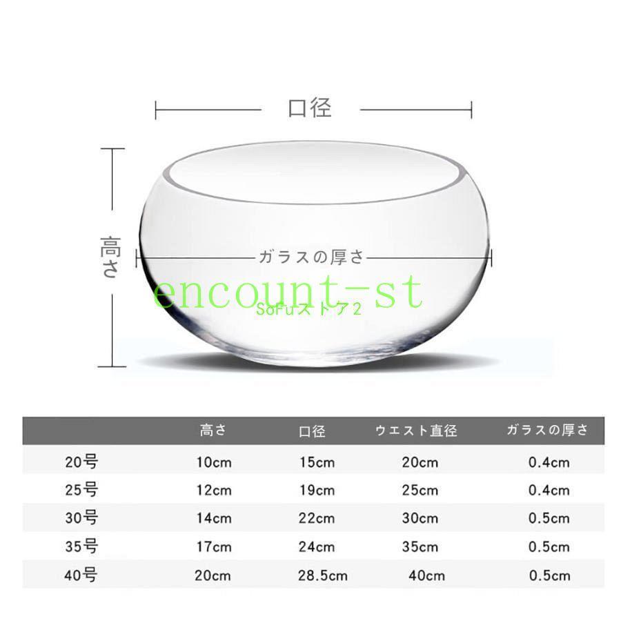 金魚鉢 丸型金魚鉢 ガラス 透明 テーブル アクアリウム ボウル 観葉植物 大容量 おしゃれ インテリア 容器 オブジェ テラリウム 花瓶 フラワーベース (25cm)｜encount-st｜07