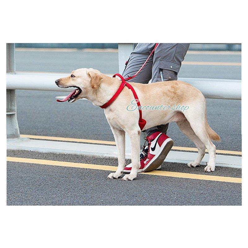 犬用 胴輪 ハーネス 8~36kg 152cmリード ペット用 小型犬 中型犬