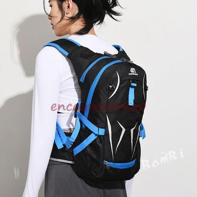 登山リュック バックパック 登山 リュック 25L 日帰り リュックサック