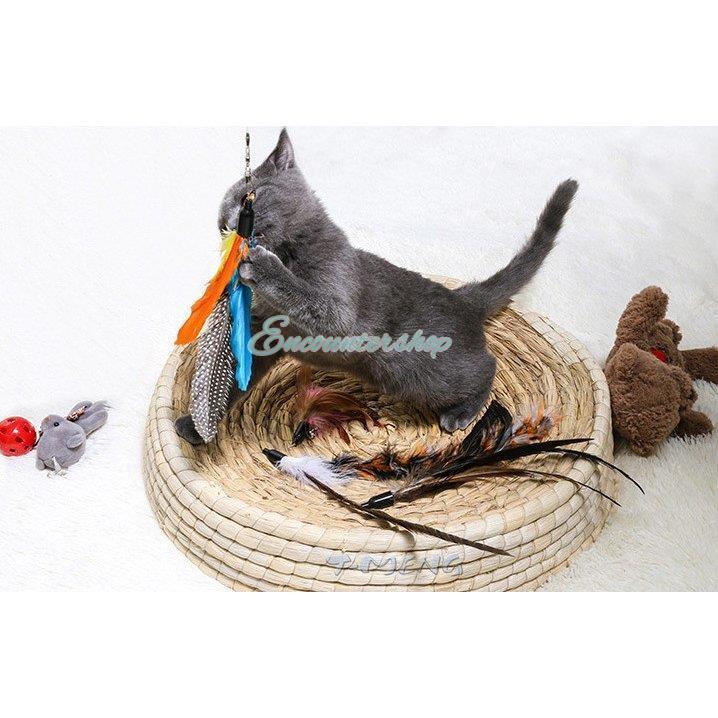 猫用品5点セット 楽天市場】スターターセット 猫 キャット ペット用 猫用 5点セット