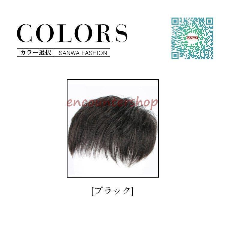 人毛100％ メンズウィッグ フルウィッグ 男性用ウイッグ 耐熱ウィッグ