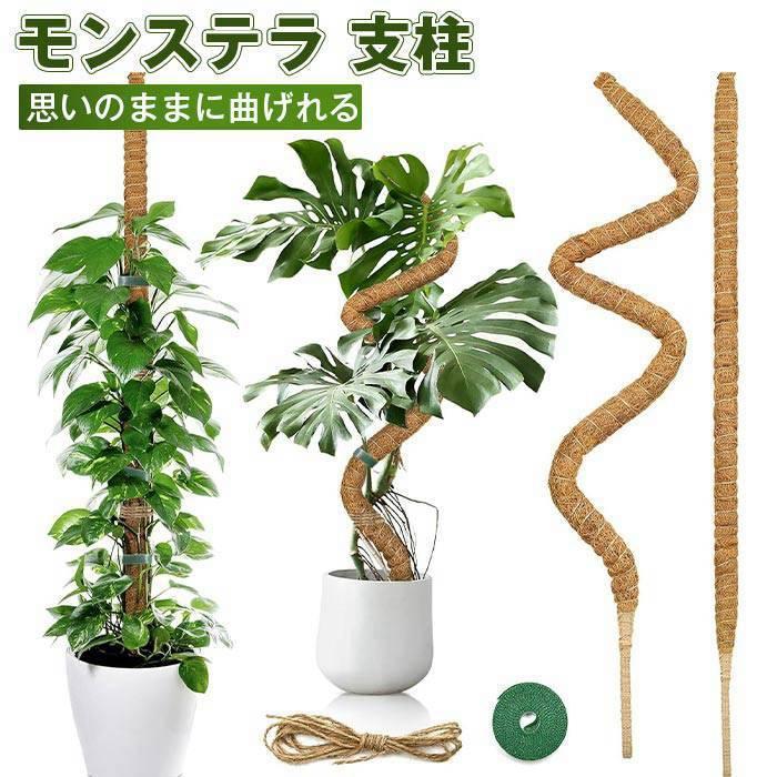 モンステラ 支柱 ココスティック 観葉植物 2本入り支柱 園芸支柱 植物