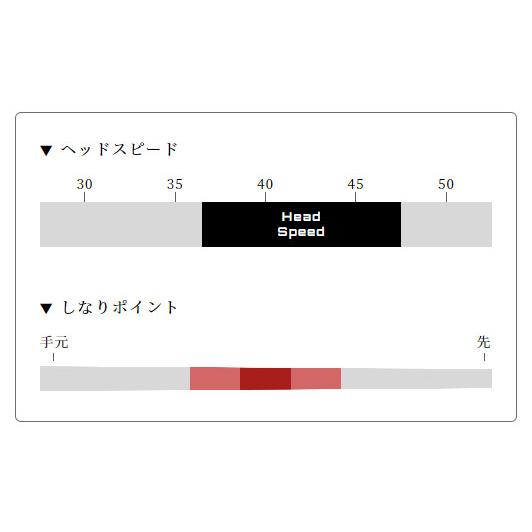 Arch アーチ For Driver CA-01 ※ シャフト交換含む : エンデバー