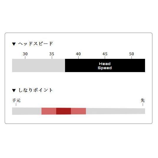 Arch アーチ For Driver Natural9 NERO ナチュラル9 ネロ ※ シャフト