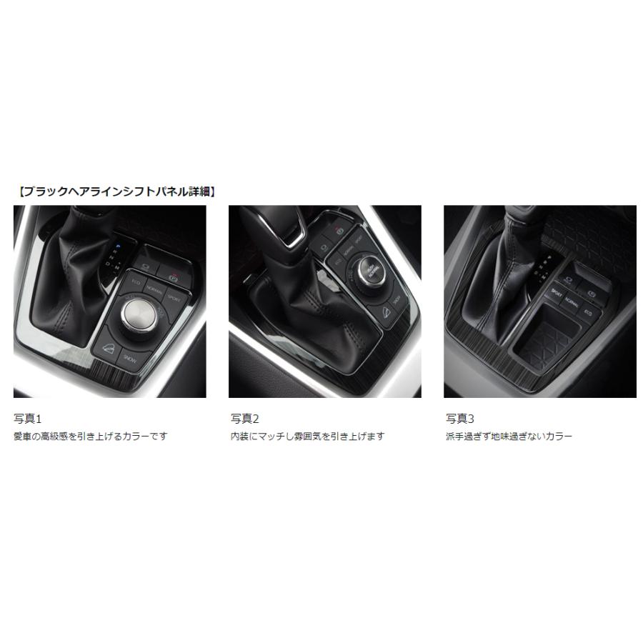 RAV4 50系 パーツ アクセサリー ドレスアップ 内装 インテリアパネル