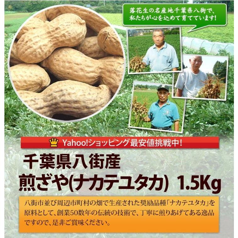 2023年度産 新豆 煎ざや(ナカテユタカ)1.5kg(500g×3袋) 千葉県八街産落花生｜endo-peanuts｜02