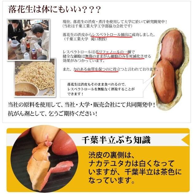 2023年度産 新豆 煎ざや（千葉半立）400g 千葉県産八街落花生｜endo-peanuts｜05