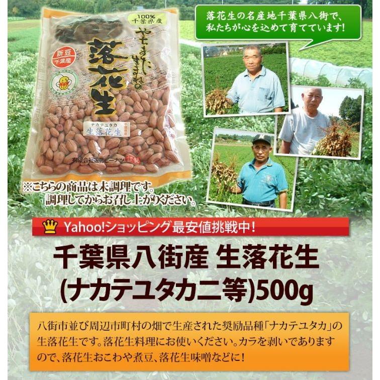 2024年度産 未調理なま落花生(ナカテユタカ)二等500g 千葉県八街 2024年度産 未調理なま落花生(ナカテユタカ)二等500g 千葉県八街