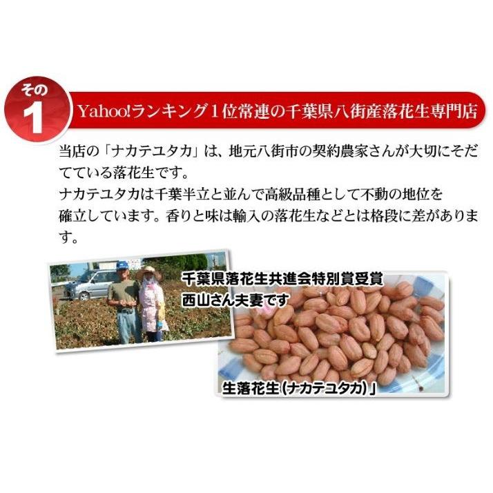 2024年度産 未調理なま落花生(ナカテユタカ)二等500g 千葉県八街 2024年度産 未調理なま落花生(ナカテユタカ)二等500g 千葉県八街