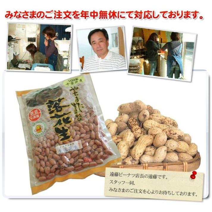 2024年度産 未調理なま落花生(ナカテユタカ)二等500g 千葉県八街 2024年度産 未調理なま落花生(ナカテユタカ)二等500g 千葉県八街