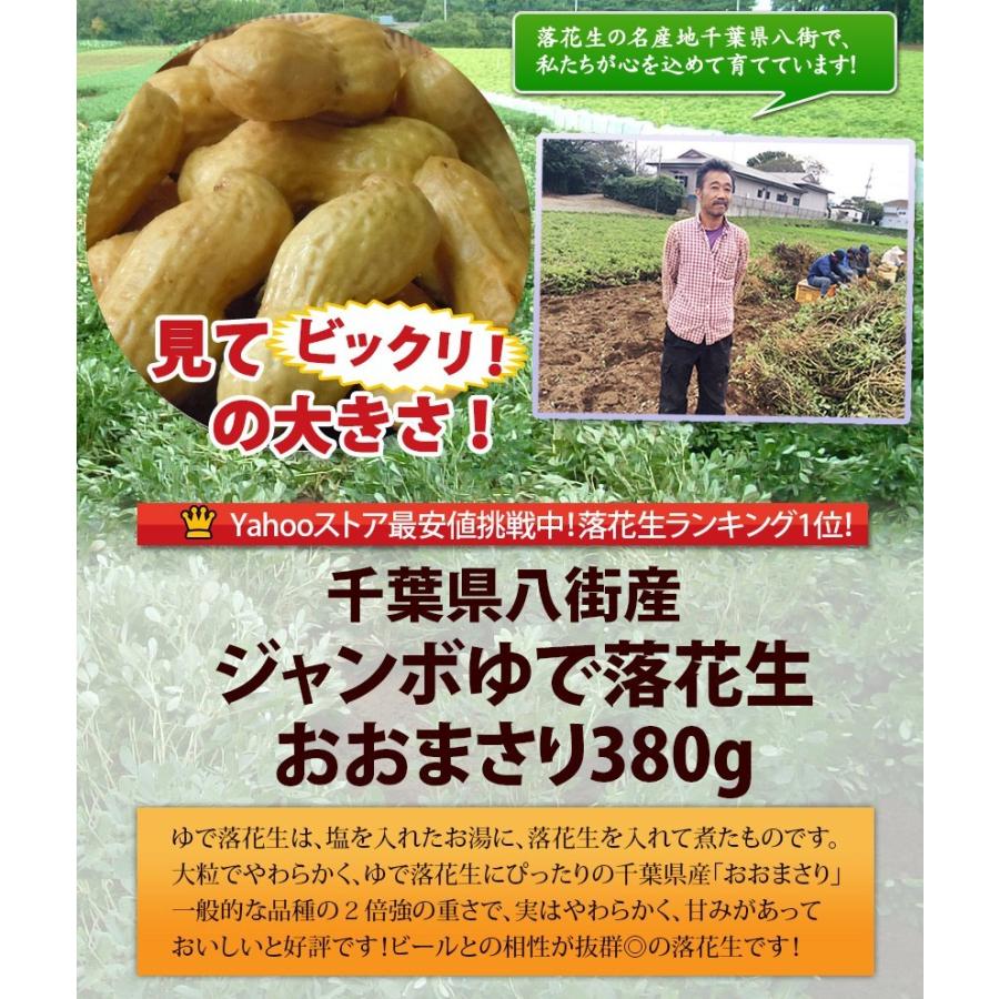 冷凍》 手もぎジャンボゆで落花生【おおまさり380g】 : 遠藤ピーナツ