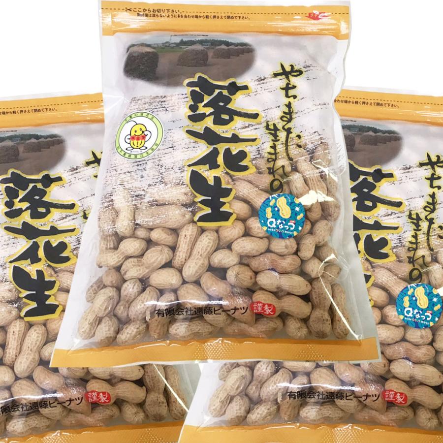 2023年度産 新豆 千葉県産落花生 煎ざや Ｑなっつ 1.5kg(500g×3袋)｜endo-peanuts｜02