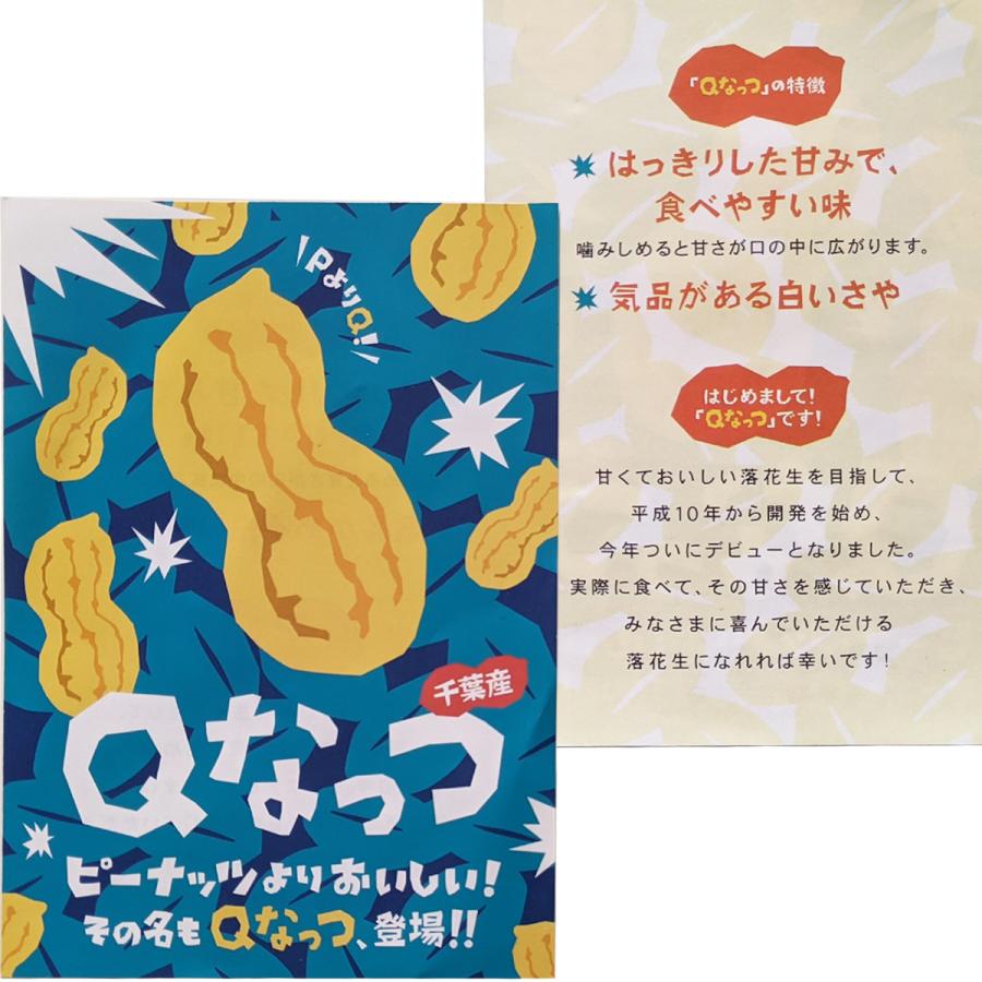 2023年度産 新豆 千葉県産落花生 煎ざや Ｑなっつ 1.5kg(500g×3袋)｜endo-peanuts｜03