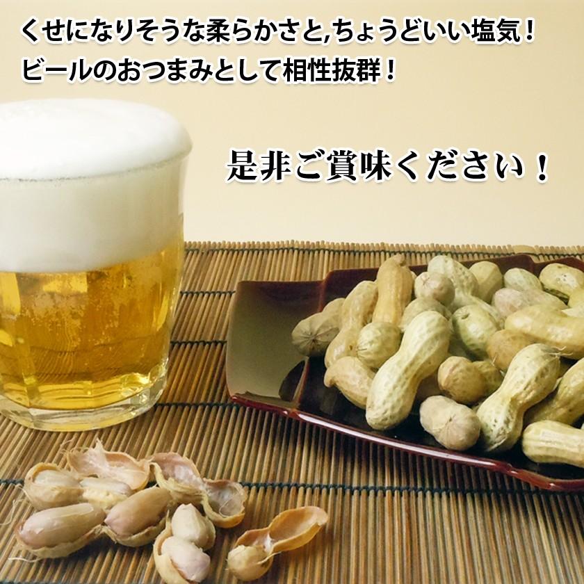 冷凍》2025年度産 新豆 手もぎゆで落花生【ナカテユタカ450g】 千葉県