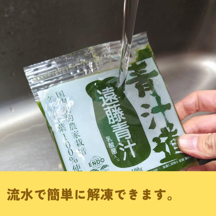 遠藤青汁 青汁  乳酸菌 無添加 国産 ケール 100％ 冷凍 生タイプ 100ｇ×28袋セット 小袋｜endoaojiru-shop｜03