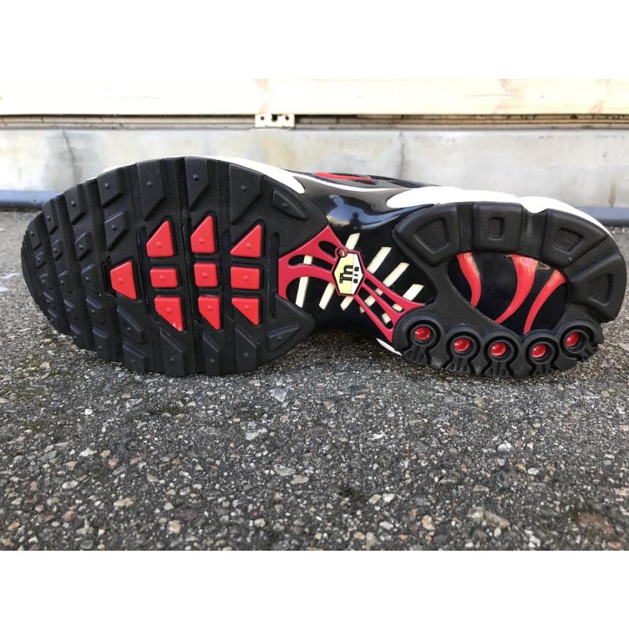 NIKE 【FOOT LOCKER限定モデル】NIKE AIR MAX PLUS【ナイキ エア