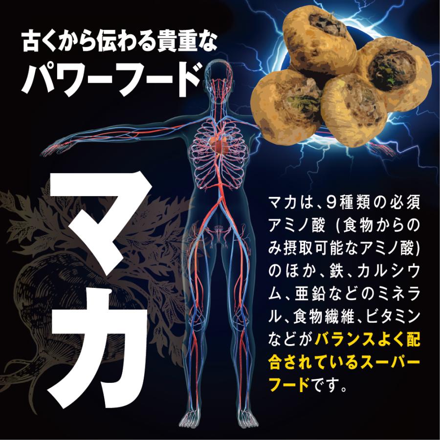 DDDナール 60粒(1ヵ月分)【わけあり品】【お得な２個セット】【数量限定】【税込送料無料】【賞味期限切迫(約2〜6か月以内)などの為】 |  | 06