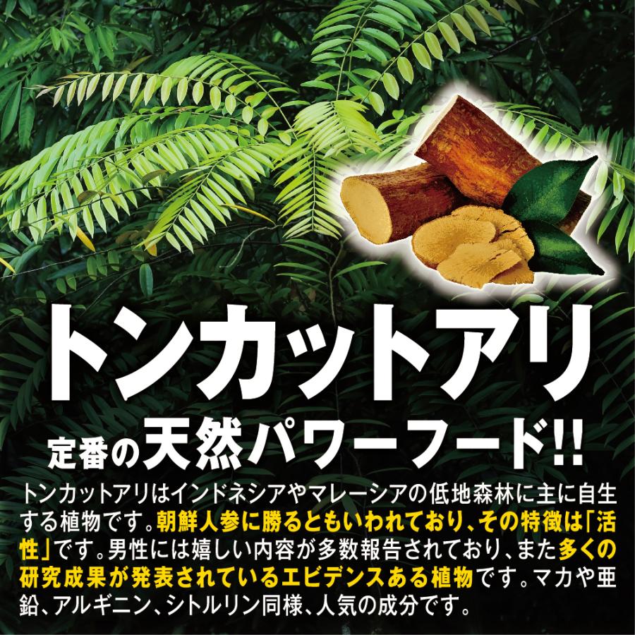 DDDナール 60粒(1ヵ月分)【わけあり品】【お得な２個セット】【数量限定】【税込送料無料】【賞味期限切迫(約2〜6か月以内)などの為】 |  | 08