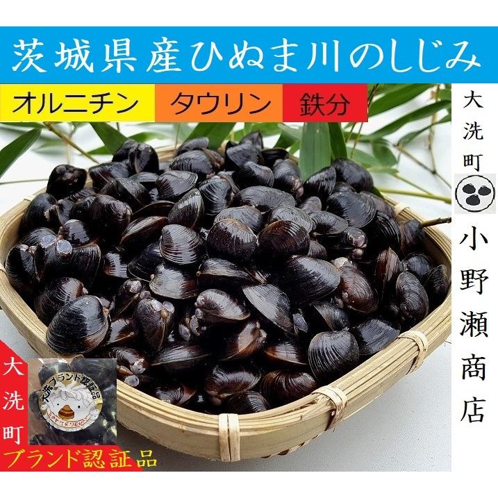 しじみ 茨城県産 日本三大しじみ 冷凍しじみ1kg 大洗町ブランド認証品 ひぬま川 涸沼湖 しじみ汁 オルニチン豊富 タウリン 鉄分 肝臓元気 T Kai おうちdeホムセン 通販 Yahoo ショッピング